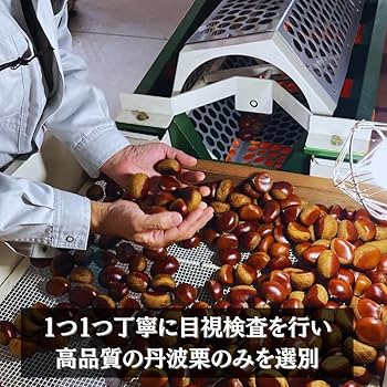 パンダ様　生栗　2キロ 10個 食品・飲料・酒 パンダ様 生栗 2キロ